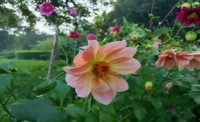 一起讀報-8月26日