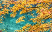 一起讀報(bào)-11月1日