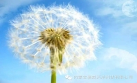 一起讀報-11月17日