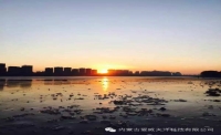 一起讀報-1月11日