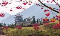 一起讀報-2月28日