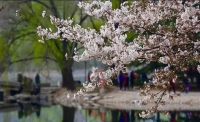 一起讀報(bào)-3月29日