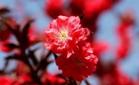一起讀報(bào)-4月14日