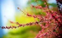 一起讀報(bào)-4月17日