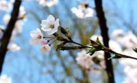 一起讀報-4月19日