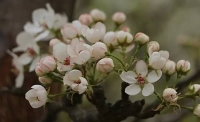 一起讀報(bào)-4月28日