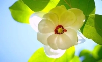 一起讀報-5月30日